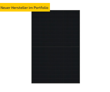 DMEGC Solarmodul DM455M10RT-B54HBB Glas-Glas, bifazial, full black, MC4-EVO 2A