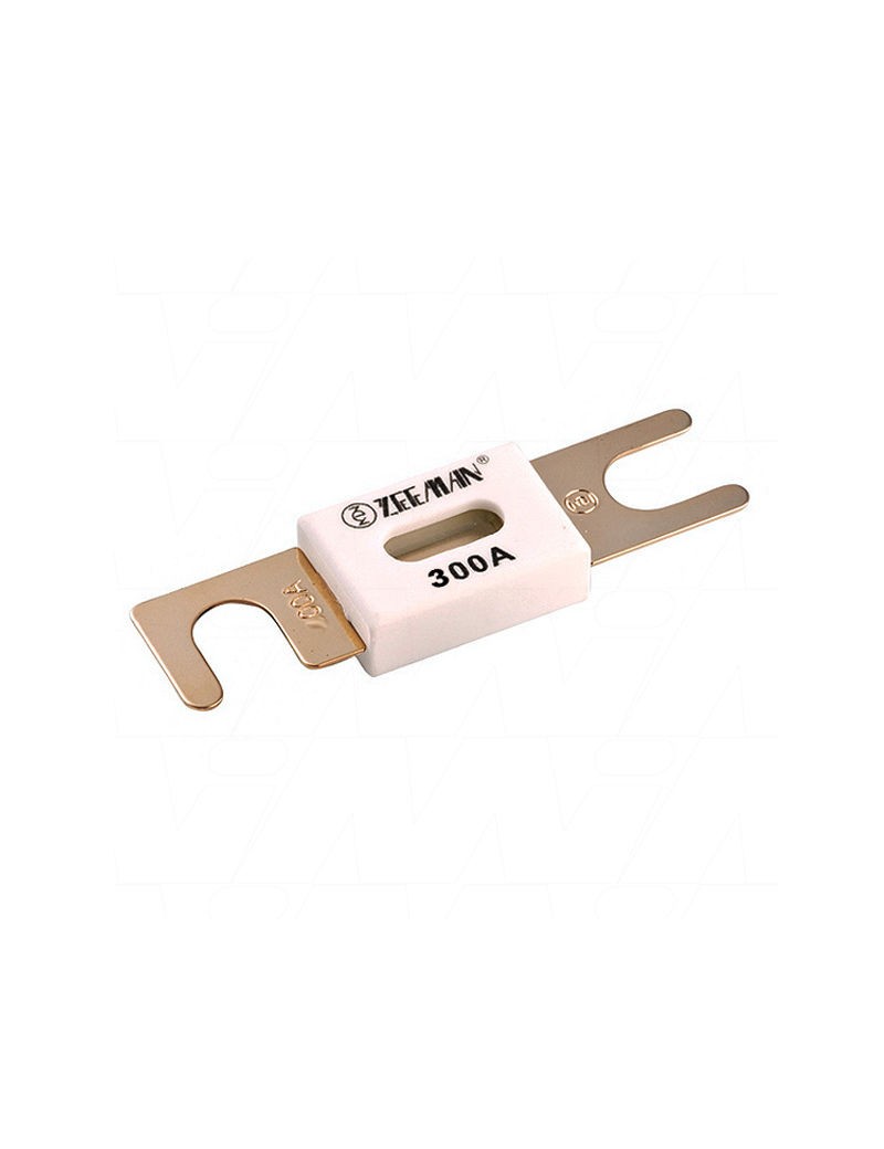 Victron Energy Sicherung ANL 300 A Versorgung 48 V