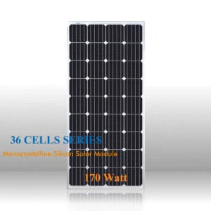 Jensys Power Technology Co., Limited - Solarmodul - 170M-36 170M-36 - Art. 237195