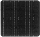 Sunlike Solar Co., Ltd. - Zellen - 182-10BB TOPcon 24,3 - Art. 27120