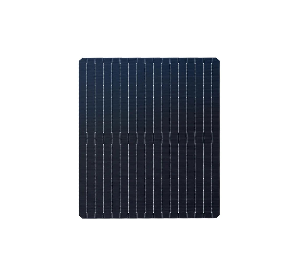 Techwise Solar Technology Co., Ltd. - Zellen - 182*210 Bifacial Cell 9,7 - Art. 28482