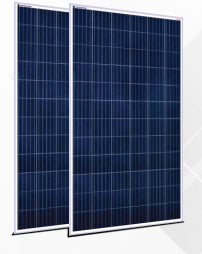 Electrower Technologies Pvt. Ltd. - Solarmodul - 265W - 60 Cell 265W - Art. 188464