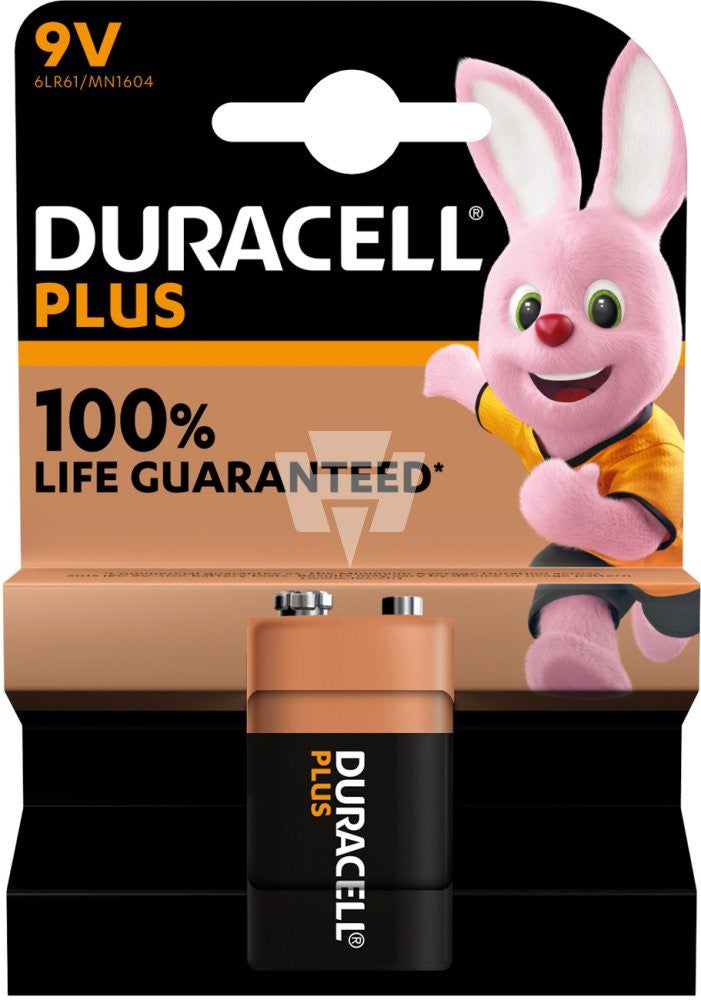 Rayovac H