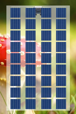 VGS - Solarmodul - 36 Cells - VE136PVTT 150-165 150 W - Art. 140118