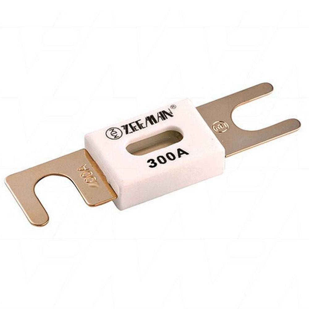 Victron Energy ANL-fuse 300A/80V