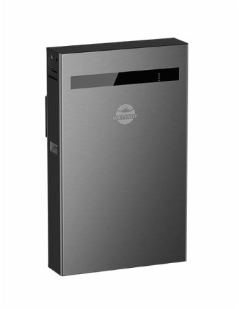 Danyang Weisheng Electronics Co., Ltd. - Speicher - 5kWh Lithium (Li) Ion Battery Home Energy Stora... 5kWh - Art. 38882