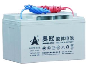 Allgrand Group - Speicher - 6-CNFJ-55 6-CNFJ-55 - Art. 1634