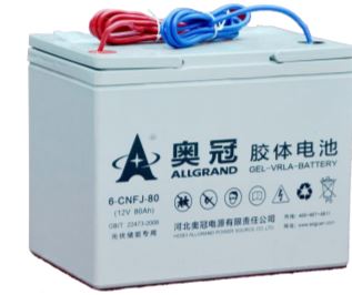 Allgrand Group - Speicher - 6-CNFJ-80 6-CNFJ-80 - Art. 1638