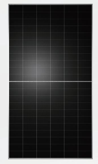 Tongwei TWMNF-66HD 720Wp N-Type Bifazial Solarmodul – Palette