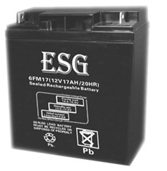 Guangzhou ESG New Energy Technology Co., Ltd. - Speicher - 6FM17 6FM17 - Art. 4070