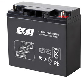 Guangzhou ESG New Energy Technology Co., Ltd. - Speicher - 6FM18 6FM18 - Art. 4071