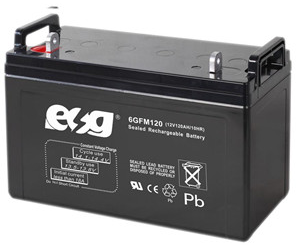 Guangzhou ESG New Energy Technology Co., Ltd. - Speicher - 6GFM120 6GFM120 - Art. 4099