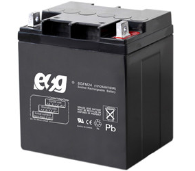 Guangzhou ESG New Energy Technology Co., Ltd. - Speicher - 6GFM24 6GFM24 - Art. 4073