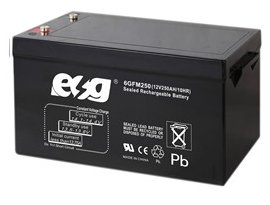 Guangzhou ESG New Energy Technology Co., Ltd. - Speicher - 6GFM250 6GFM250 - Art. 4069