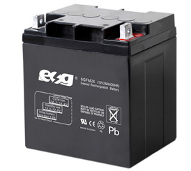 Guangzhou ESG New Energy Technology Co., Ltd. - Speicher - 6GFM26 6GFM26 - Art. 4074