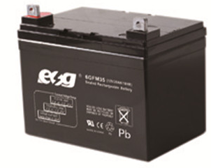 Guangzhou ESG New Energy Technology Co., Ltd. - Speicher - 6GFM35 6GFM35 - Art. 4075