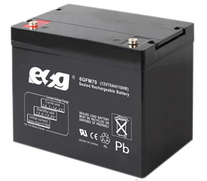 Guangzhou ESG New Energy Technology Co., Ltd. - Speicher - 6GFM70 6GFM70 - Art. 4076