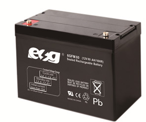 Guangzhou ESG New Energy Technology Co., Ltd. - Speicher - 6GFM80 6GFM80 - Art. 4097