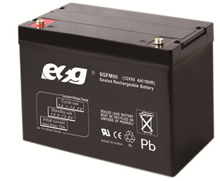 Guangzhou ESG New Energy Technology Co., Ltd. - Speicher - 6GFM90 6GFM90 - Art. 4077