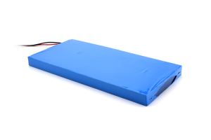 Donguan BYingPower Technology Co., Ltd. - Speicher - 6.4V 12AH LiFePO4 Battery 6,4V 12AH LiFePO4 Battery - Art. 20092