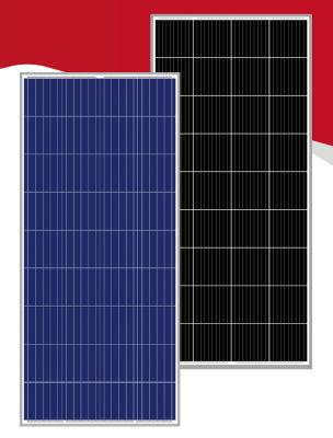 Amso Solar Technology Co., Ltd. - Solarmodul - AS150-170-36 AS150-36 - Art. 178276