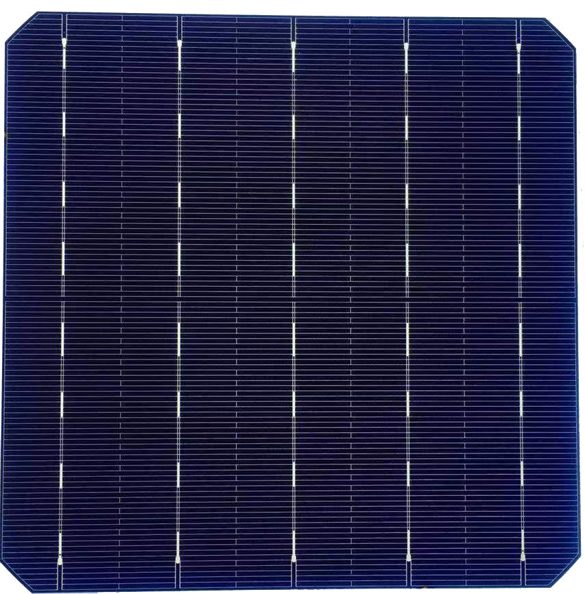 Allesun - Zellen - AV-156.75M 5,42 - Art. 24056