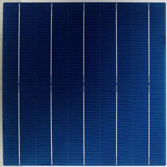 Allesun - Zellen - AV-157P AV-157P-180 - Art. 15971