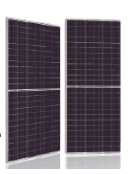 Sun Pacific Power Corp. - Solarmodul - AfMc Series 530-550W SPP-AfMc545MHT - Art. 225906