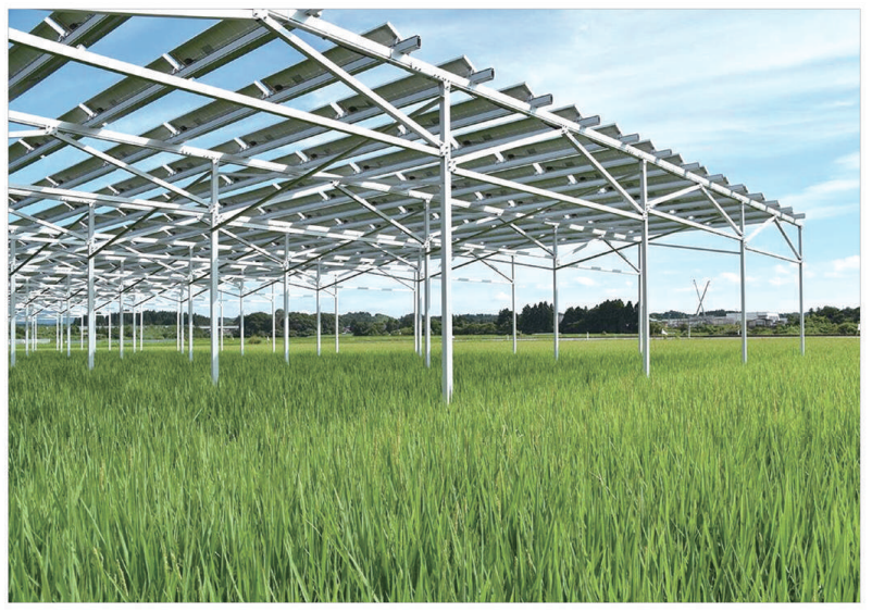 Jiangsu Evergreen Solar New Energy Technology Co., Ltd. - Montagesysteme - Alumium Farmland Mounting System Alumium Farmland Mounting System - Art. 9057