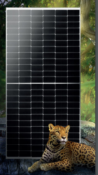Sengi Solar - Solarmodul - Amazônia SV1S72 540-555W SV1S72-540 - Art. 195028