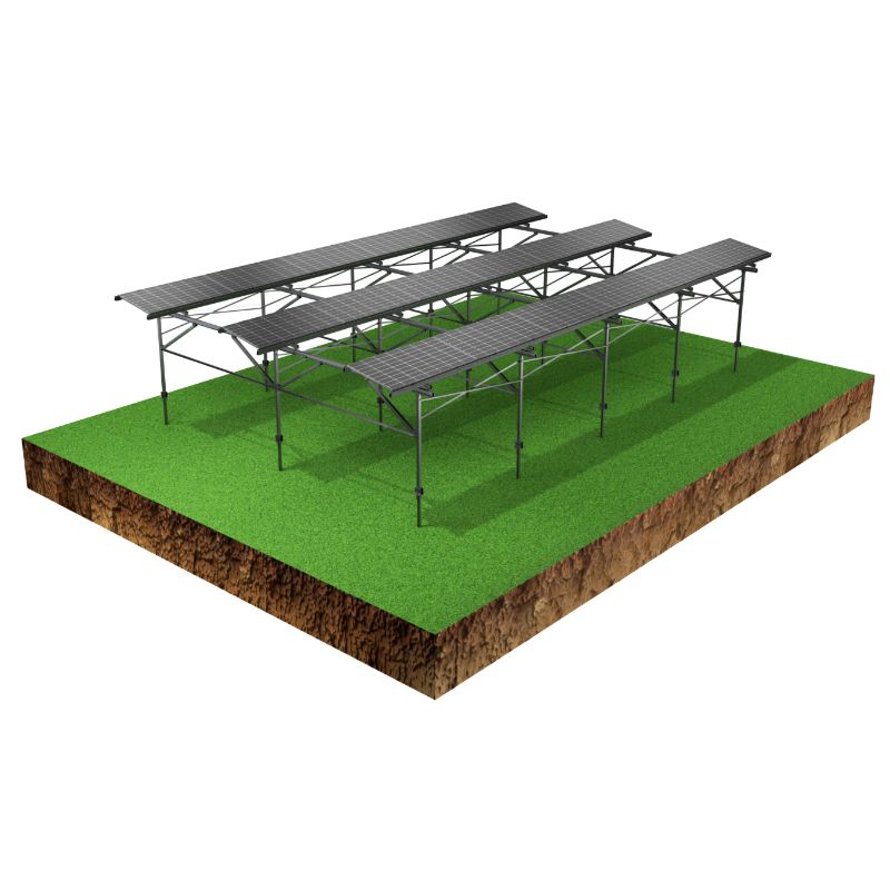 Antai Solar Agro-PV-Struktur (3x12)