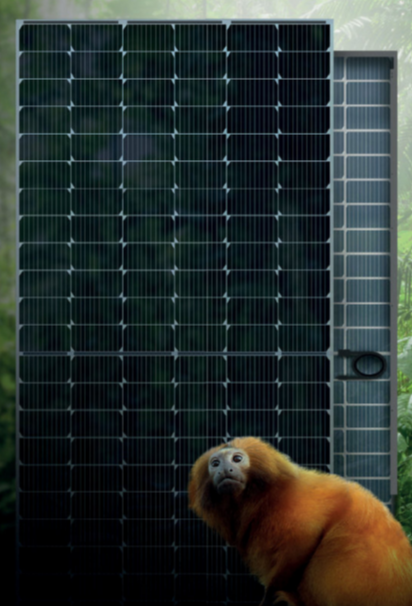 Sengi Solar - Solarmodul - Atlantica SV1B72 535-550W SV1B72 540W - Art. 219487