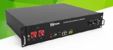 Dyness Digital Energy Technology Co.,LTD. - Speicher - B4850 battery module B4850 - Art. 7354