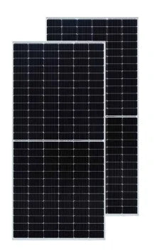 Suzhou Talesun Solar Technologies Co., Ltd. - Solarmodul - BIPRO TD7G78M 580-600W 600 - Art. 189041