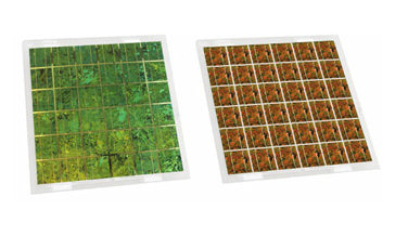 Lof Solar Corporation - Solarmodul - BIPV 6X6 120-135 135 - Art. 199332
