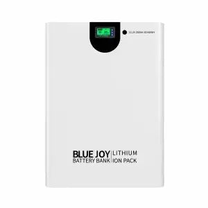 Qingdao Blue Joy Technology Co., Ltd. - Speicher - BJ48-200S 1 - Art. 37467