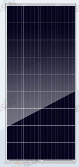 Bluesun Solar Energy Tech. Co., Ltd. - Solarmodul - BSM150-170P-36 BSM155P-36 - Art. 100058