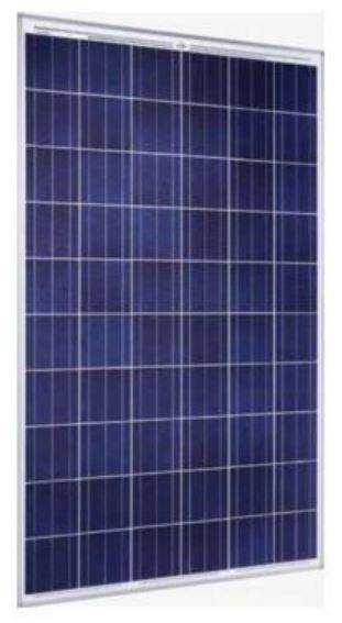 Plurigas Solar Energias Lda - Solarmodul - BSM220-250P-60 BSM240P-60 - Art. 75483