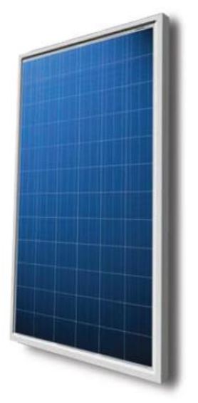 Plurigas Solar Energias Lda - Solarmodul - BSM260-300P-72 BSM260P-72 - Art. 75437