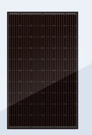 Bluesun Solar Energy Tech. Co., Ltd. - Solarmodul - BSM300-330M-60 BSM300M-60 - Art. 140359