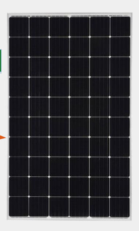 Bluesun Solar Energy Tech. Co., Ltd. - Solarmodul - BSM325-340W-60OPH BSM325M-60OPH - Art. 162988
