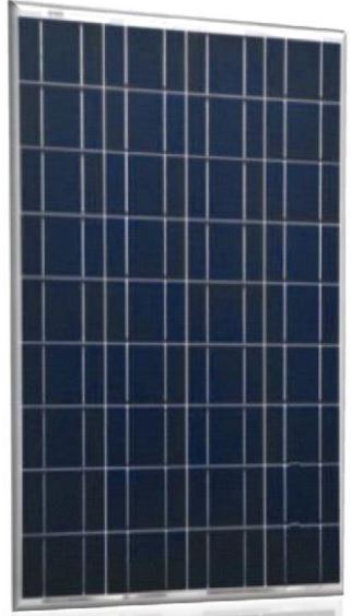 Plurigas Solar Energias Lda - Solarmodul - BSM80-120P-36 BSM100P-36 - Art. 75455