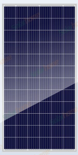 Bluesun Solar Energy Tech. Co., Ltd. - Solarmodul - BSM 330-350P-72 BSM350P-72 - Art. 130929