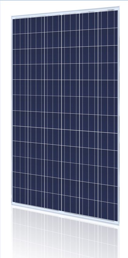 ZheJiang Bowei Energy Technology Co.,Ltd - Solarmodul - BW-SM300-320P72 BW-SM300P - Art. 55713
