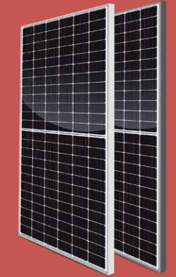 Consort Solar Co., Ltd. - Solarmodul - CST-M10/72H 540-560W-2278 CST-M10/72H 560 - Art. 223440