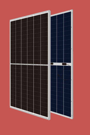 Consort Solar Co., Ltd. - Solarmodul - CST-M12/66GDF 645-660W CST-M12/66GDF 650 - Art. 186365