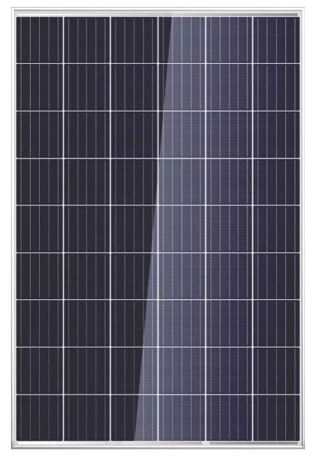 Nyalkaran Energy LLP - Solarmodul - Castor Poly NE230-260P NE230P - Art. 182271