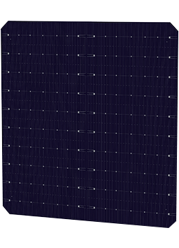 DAS Solar Co., Ltd. - Zellen - DAS-PM10D10B 7,86 - Art. 27991
