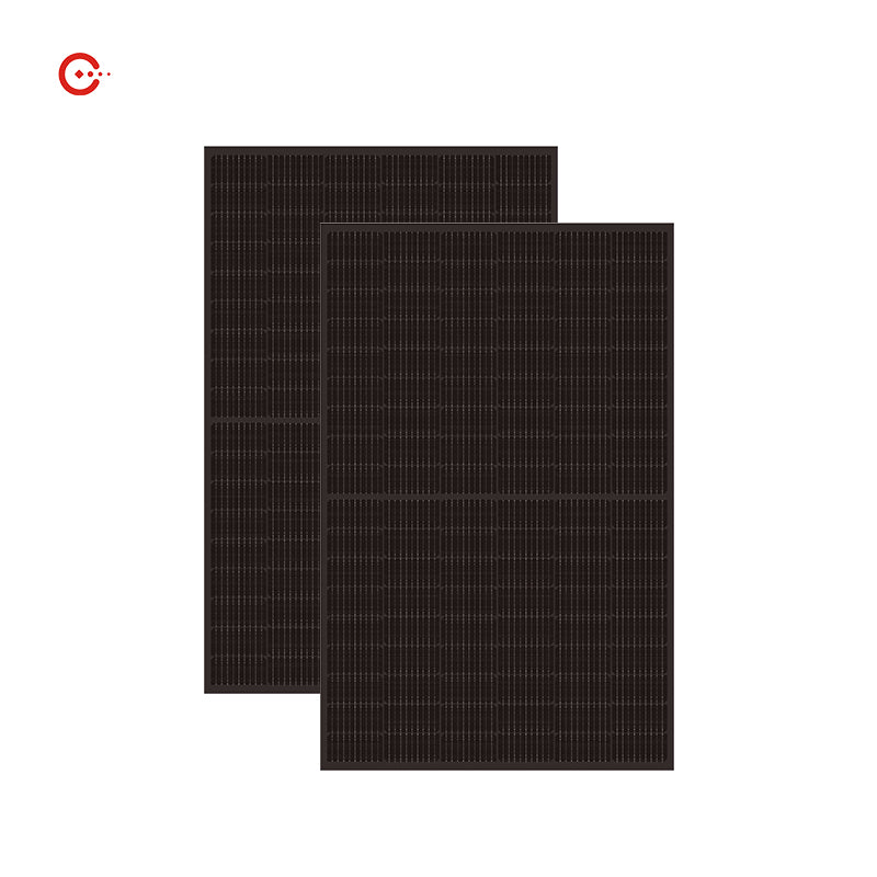 Wuhan Rixin Technology Co., Ltd. - Solarmodul - DDP315-325(K)Black Framed DDP325(K) - Art. 185668