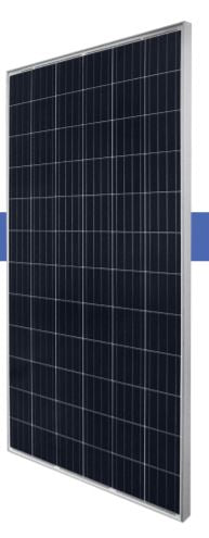 RenewSys India Pvt Ltd - Solarmodul - DESERV 3M6/3M6H 36Cells 140-155 DESERV 3M6-155 - Art. 110055